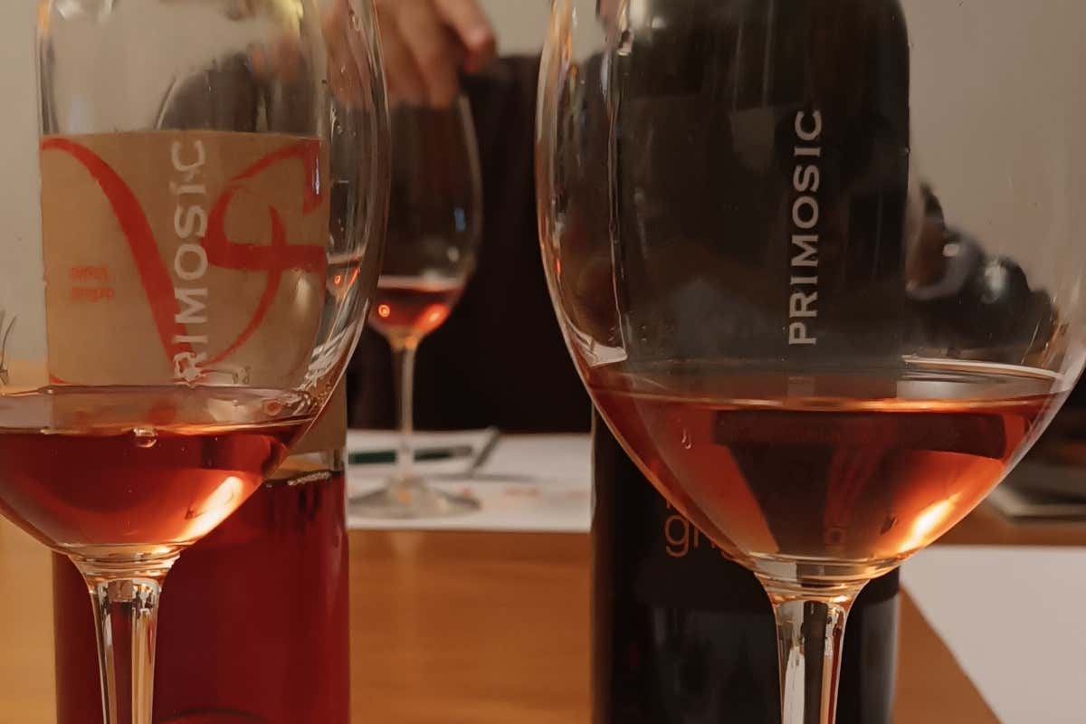 Pinot Grigio nel Collio: un viaggio attraverso le annate con Marko Primosic Pinot Grigio nel Collio: un viaggio attraverso le annate con Marko Primosic