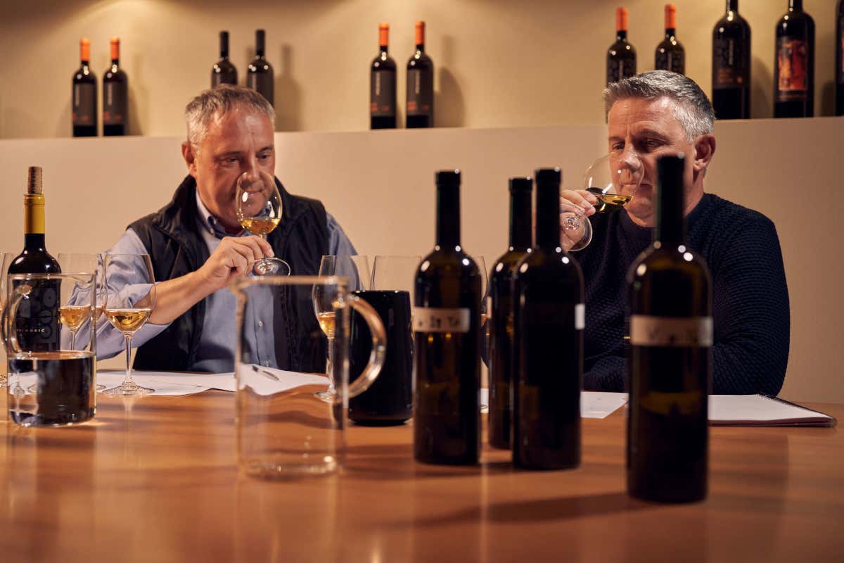 Pinot Grigio nel Collio: un viaggio attraverso le annate con Marko Primosic Pinot Grigio nel Collio: un viaggio attraverso le annate con Marko Primosic
