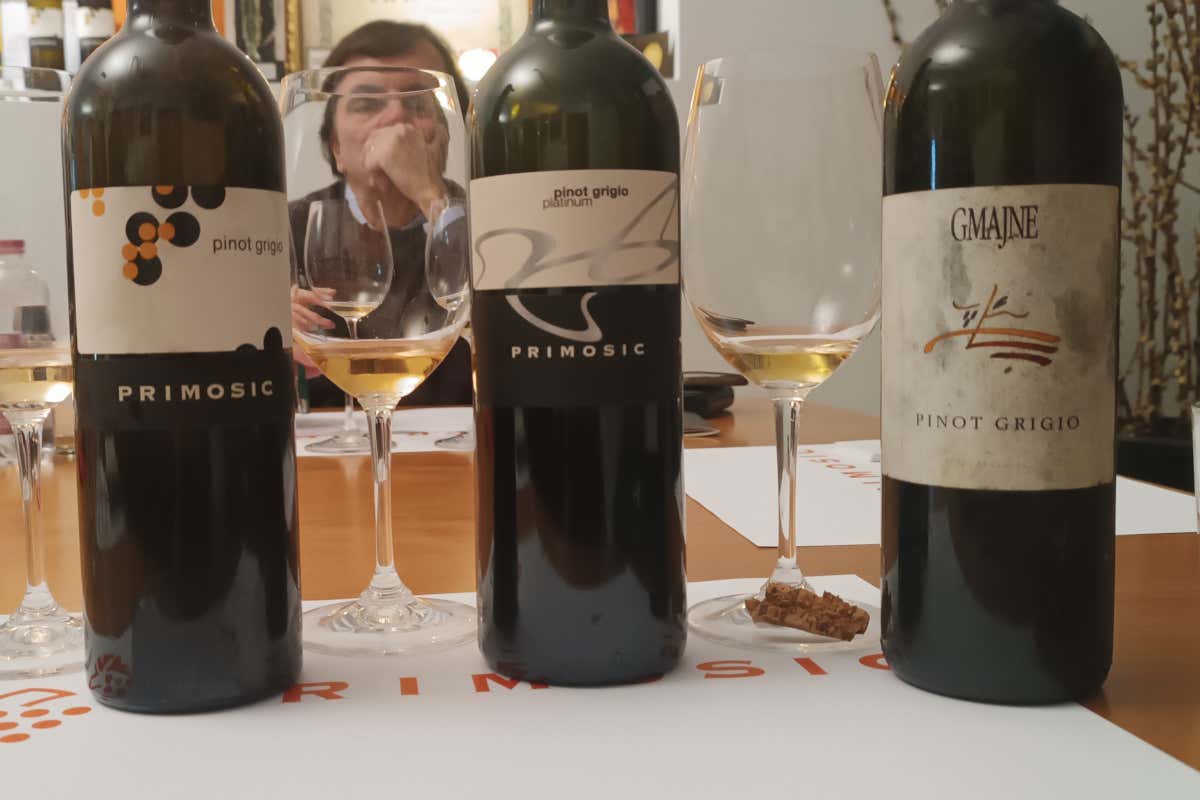 Pinot Grigio nel Collio: un viaggio attraverso le annate con Marko Primosic Pinot Grigio nel Collio: un viaggio attraverso le annate con Marko Primosic