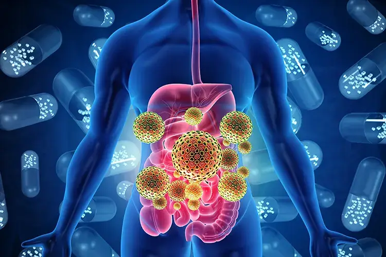 Un micriobiota in salute, alleato ideale per la digestione