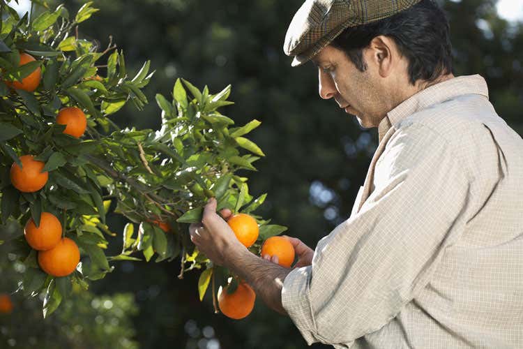 (Promozione di prodotti agroalimentari Dall'Ue fondi per 169 milioni di euro) (Promozione di prodotti agroalimentari Dall'Ue fondi per 169 milioni di euro)