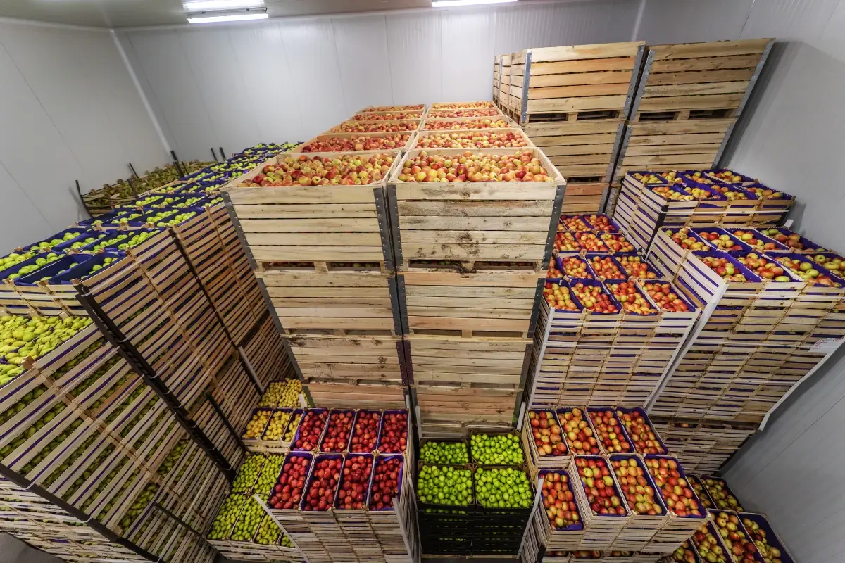 Export agroalimentare: &egrave; record storico nei primi sei mesi del 2023