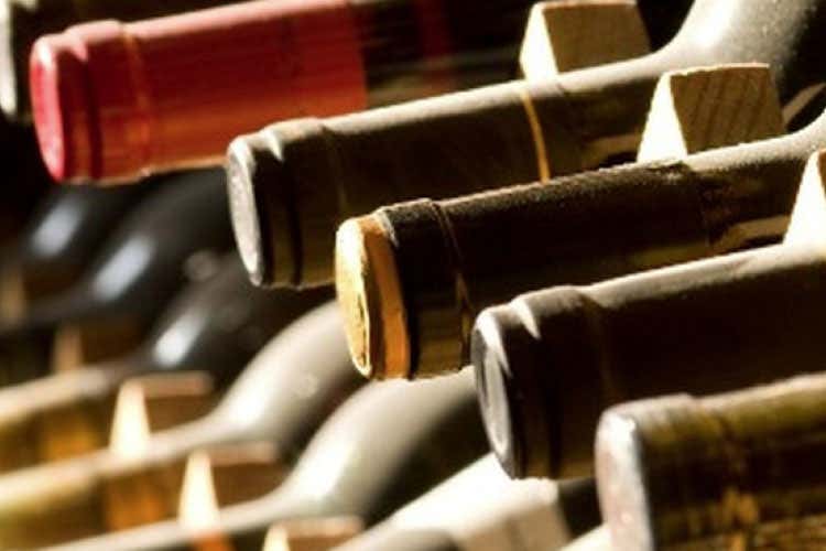 (Produceva Barolo Docg contraffatto Condannato viticoltore piemontese) (Produceva Barolo Docg contraffatto Condannato viticoltore piemontese)