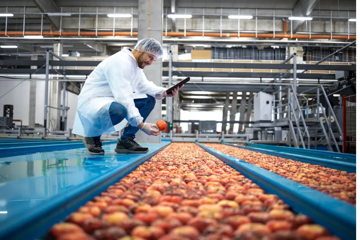 A giugno cala il fatturato dell'industria italiana