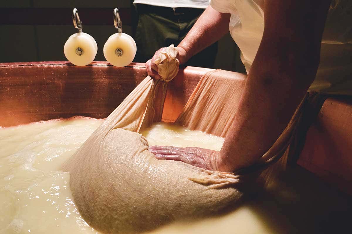 Per le aziende di trasformazione il punto più critico è la spesa energetica Produzioni sempre più sostenibili grazie allo studio promosso da Grana Padano Dop