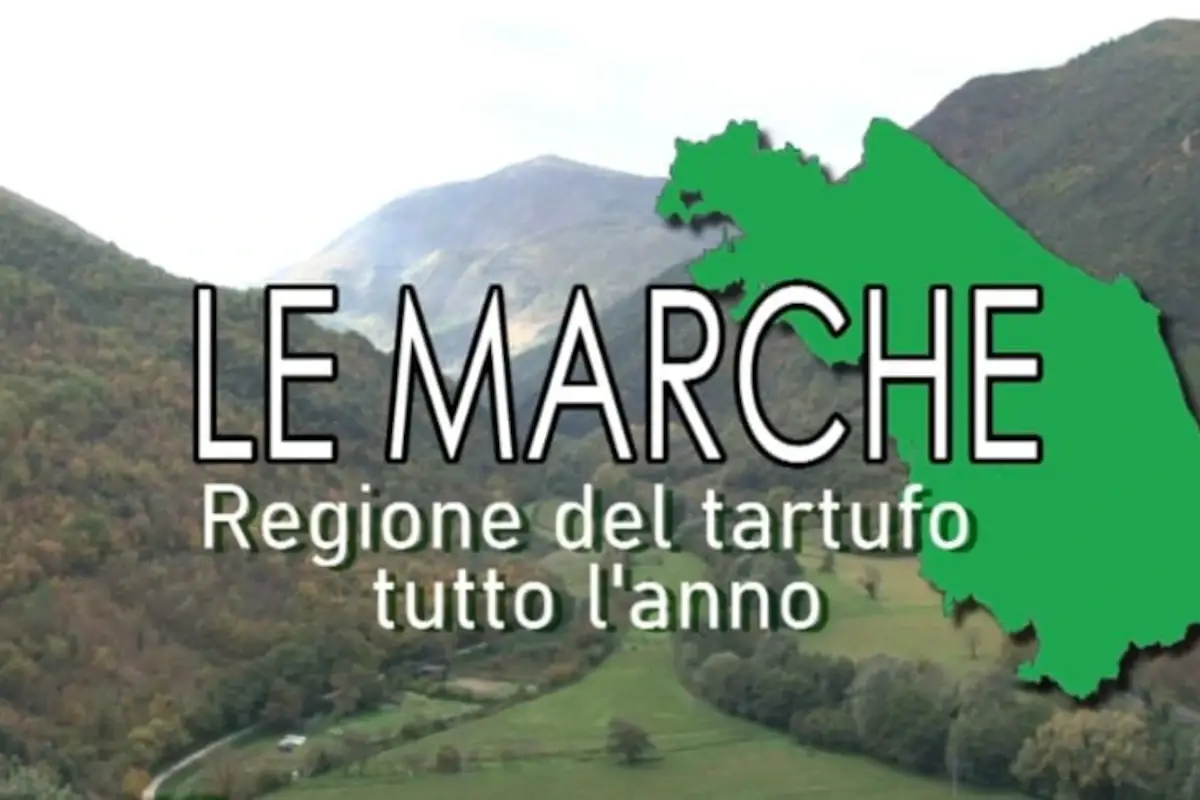 Marche: pronti a farvi emozionare, anche grazie al tartufo