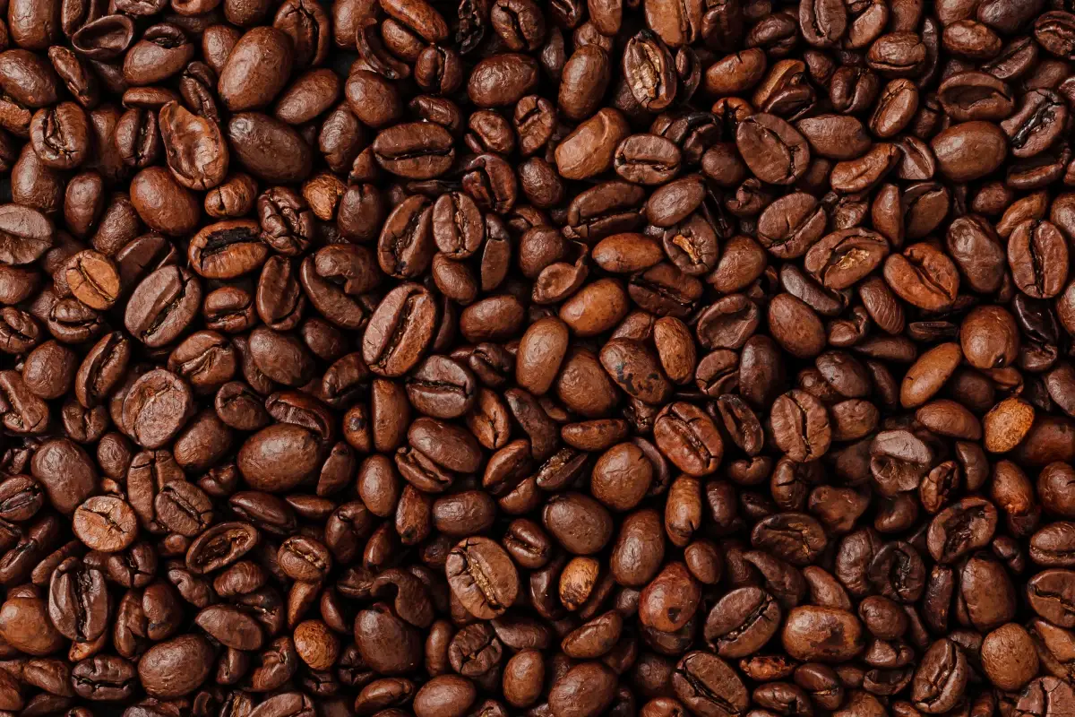 Come degustare un caffè: l'importanza dei cinque sensi 