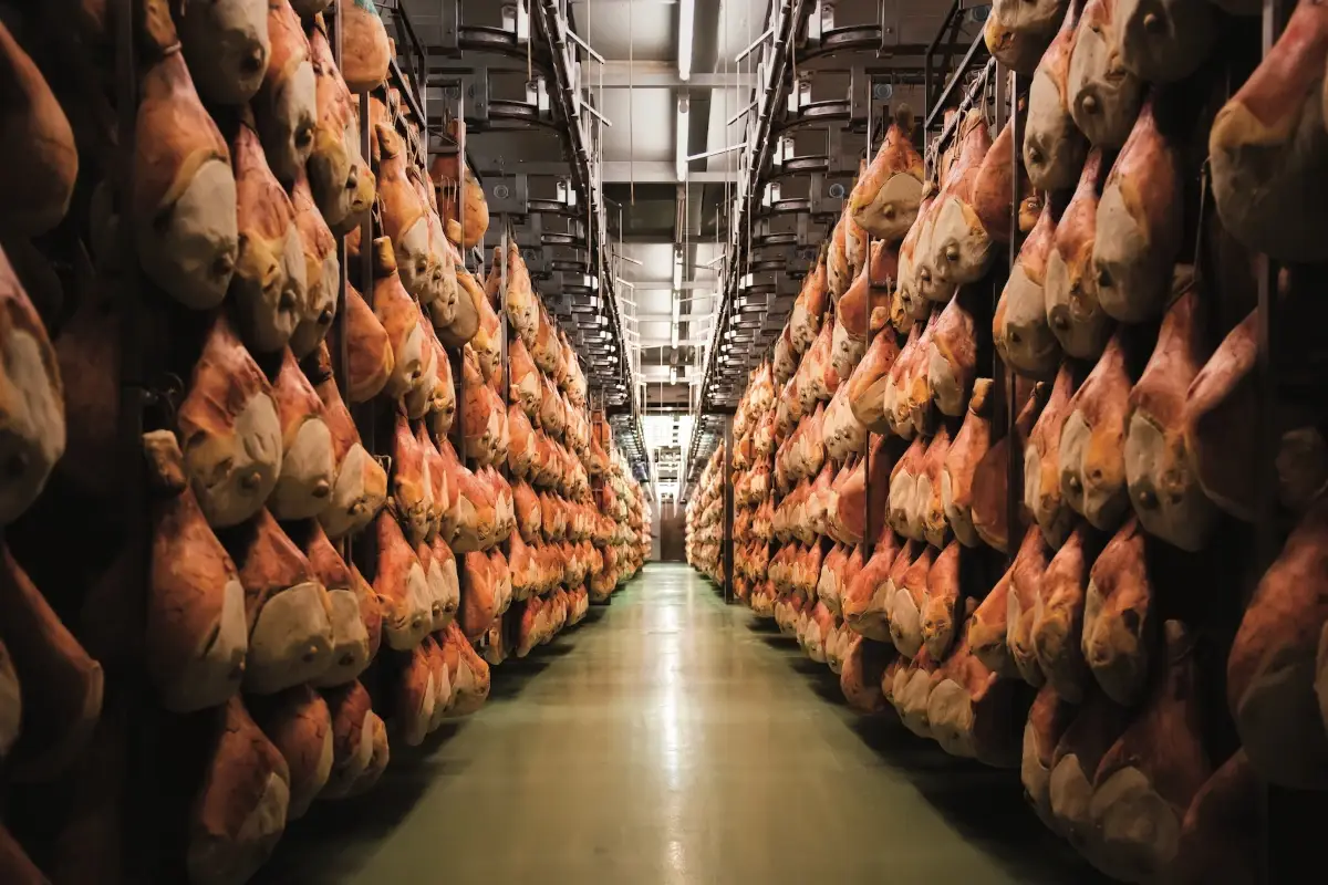 Le cosce di Prosciutto di Carpegna in affinamento&nbsp; Carpegna Dop, il prosciutto fatto come una volta