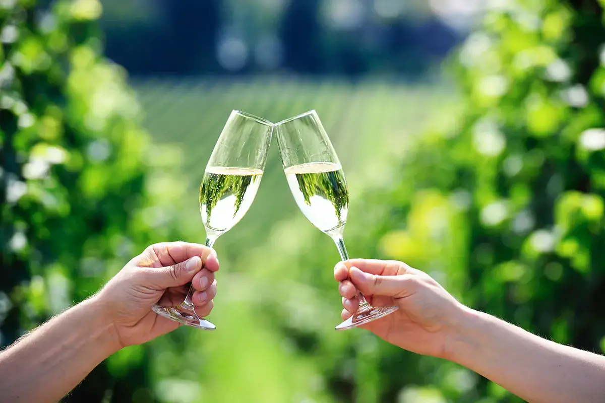 Stop ai nomi truffa, anche in caso di assonanza fonetica tra falso e originale Stop ai nomi truffa, l'Europa sta dalla parte delle Doc. Festeggia il Prosecco