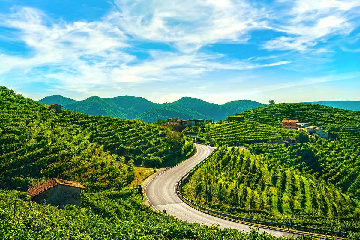 Le colline del Prosecco, patrimonio Unesco Prosecco vs. Prosek, dove eravamo rimasti? L'Italia gioca in difesa