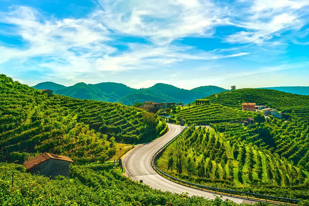 Le colline del Prosecco, patrimonio Unesco Prosecco vs. Prosek, dove eravamo rimasti? L'Italia gioca in difesa