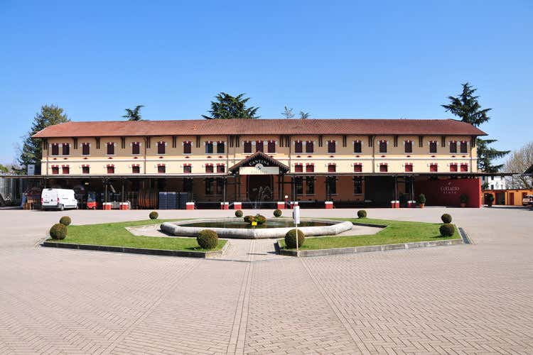 (Un Prosecco con una storia millenaria Collalto e il legame saldo con il territorio) (Un Prosecco con una storia millenaria Collalto e il legame saldo con il territorio)