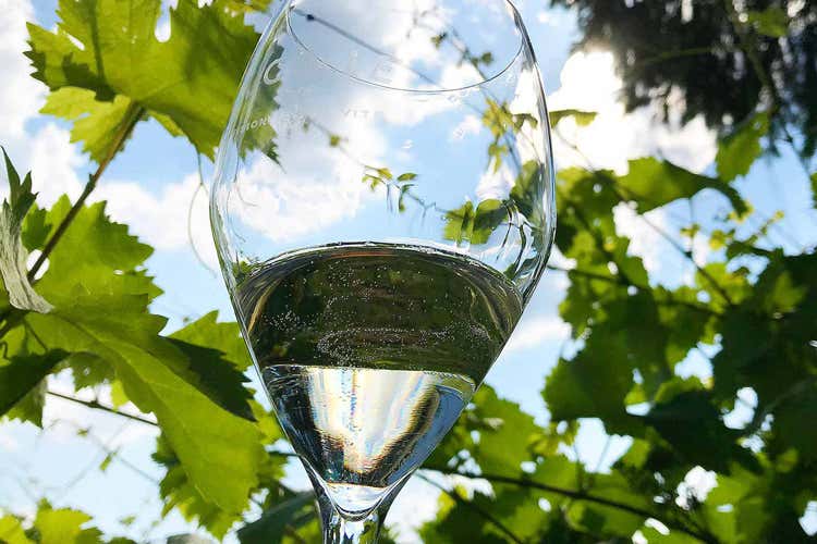 La produzione di Conegliano Valdobbiadene è cresciuta fino a 90 milioni di bottiglie  (Via Prosecco dall’etichetta E si accendono le polemiche)