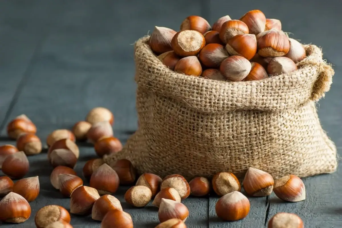 Rischio estinzione per la nocciola italiana. Obiettivo: ridurre la concorrenza sleale dei Paesi terzi