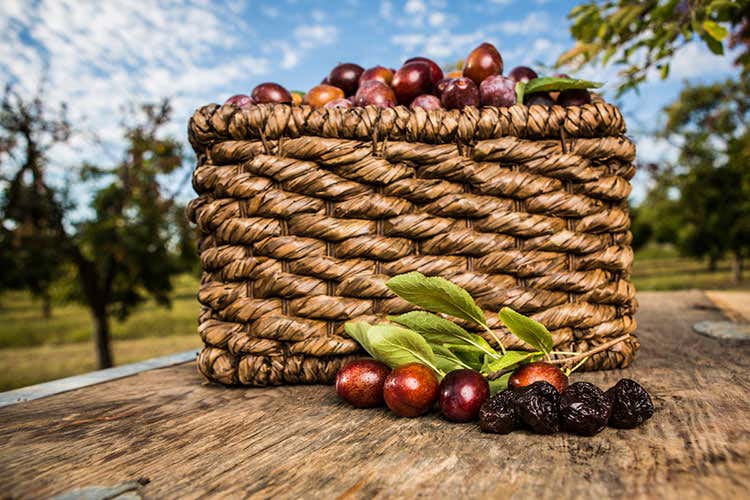 Una cesta di Prugne della California - Prugne della California a Dubai Presenza fissa al Gulfood