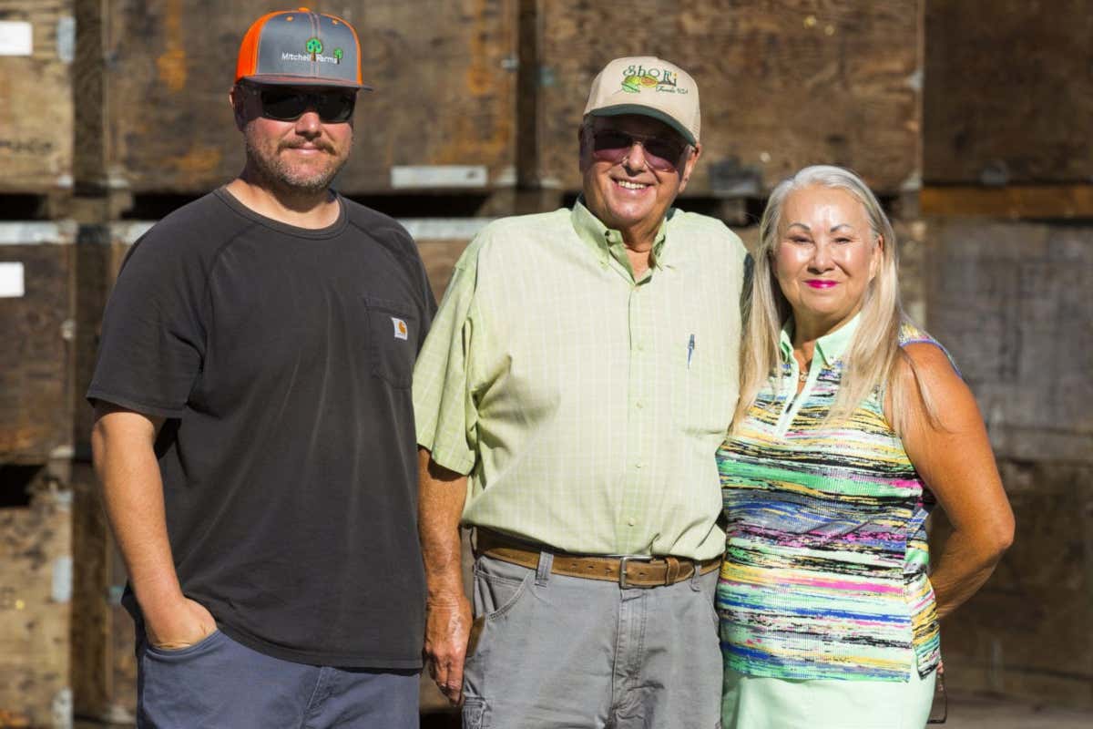 Prugne della California, una filiera sempre più al femminile tra agricoltura e ricerca