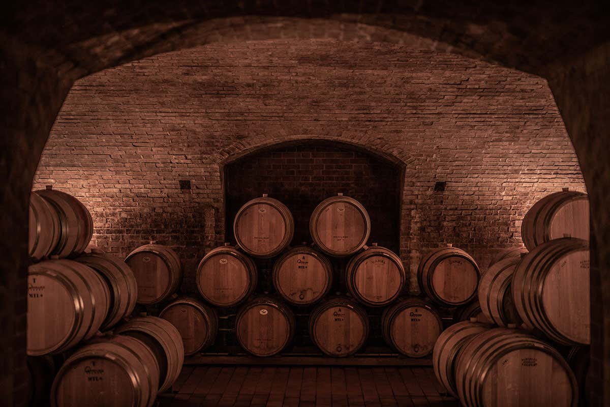 Bottaia Prunotto, da oltre un secolo Barolo e Barbaresco che raccontano il territorio