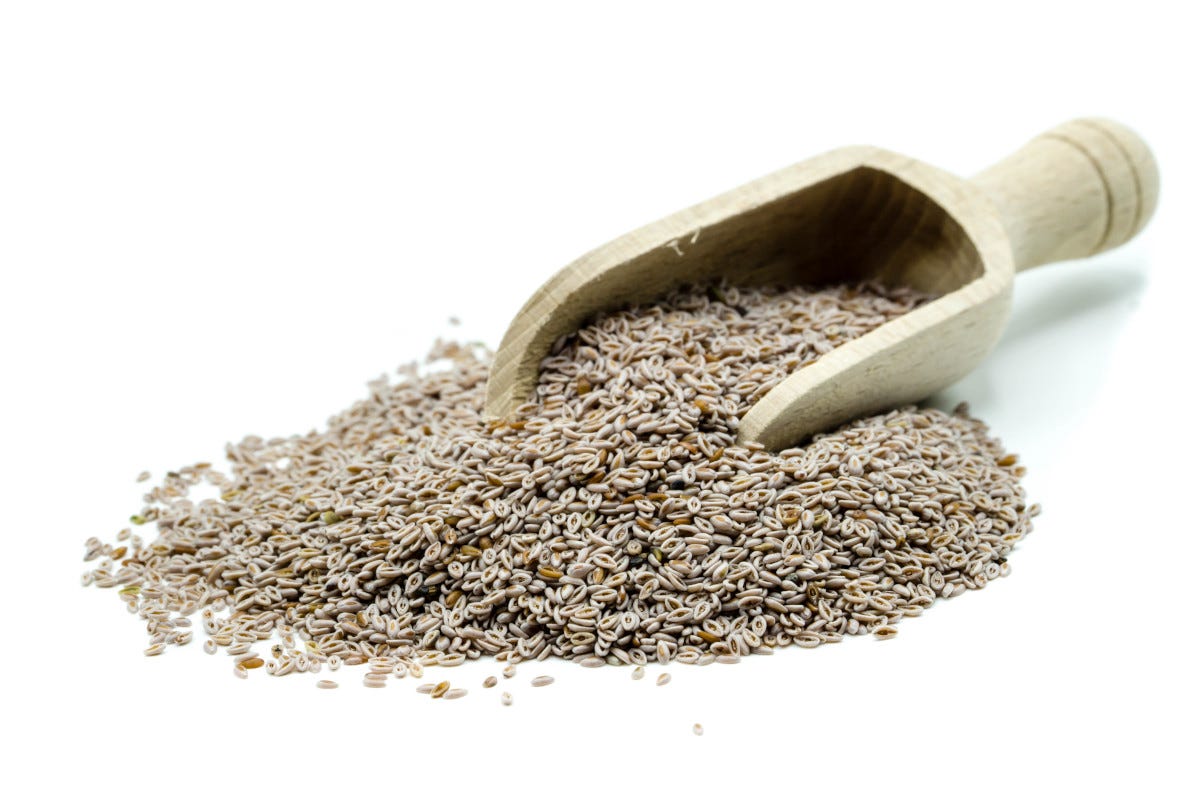 Cold psyllium is coming, here are the superfoods with which to face the change of seasons
