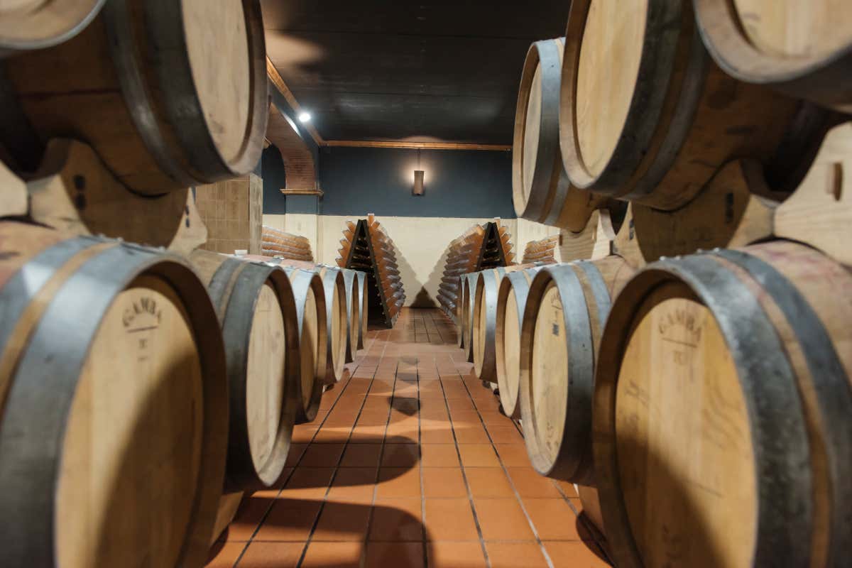 Fra vigne e storia, l’eleganza sostenibile di Pucciarella e Trequanda Fra vigne e storia, l’eleganza sostenibile di Pucciarella e Trequanda