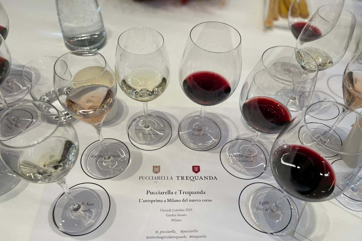 Fra vigne e storia, l’eleganza sostenibile di Pucciarella e Trequanda Fra vigne e storia, l’eleganza sostenibile di Pucciarella e Trequanda