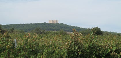 Puglia al top dell'enoturismo mondiale
Nella top 10 per Wine Enthusiast