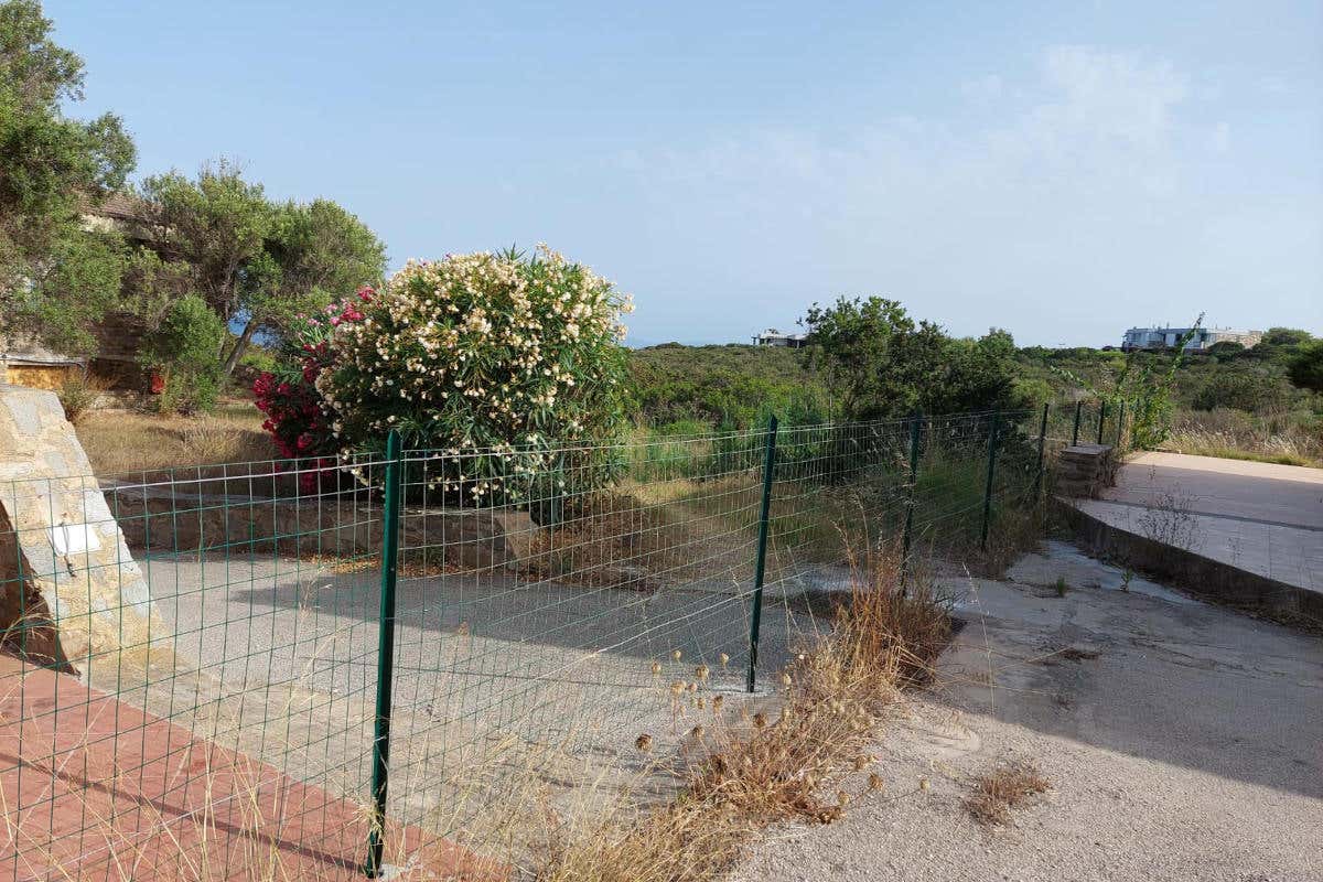 Cala Lupo per tutti: riapre l'accesso da Punta Negra per le persone disabili Cala Lupo per tutti: riapre l'accesso da Punta Negra per le persone disabili