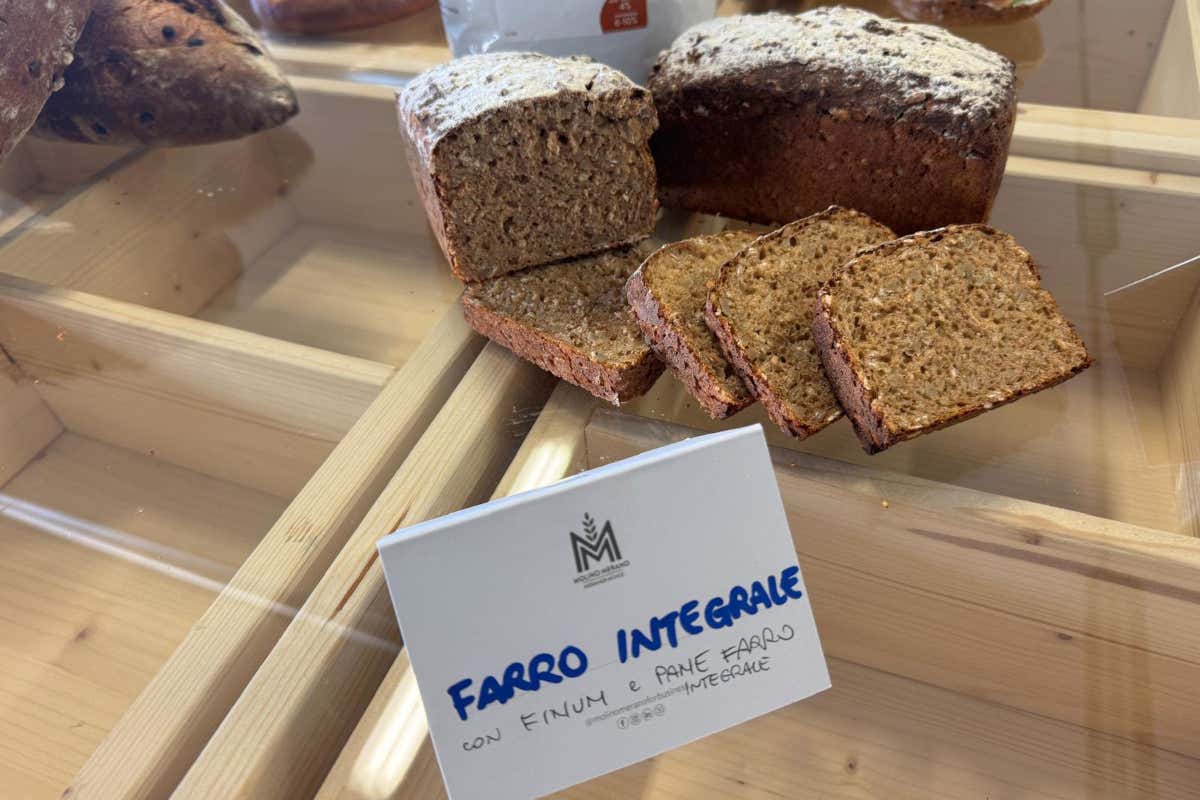 Il pane diventa arte: un corso che ispira i maestri pasticceri Il pane diventa arte: un corso che ispira i maestri pasticceri