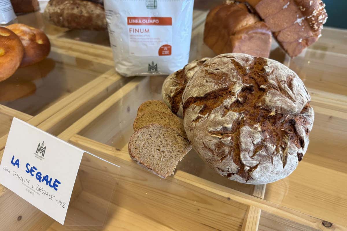 Il pane diventa arte: un corso che ispira i maestri pasticceri Il pane diventa arte: un corso che ispira i maestri pasticceri