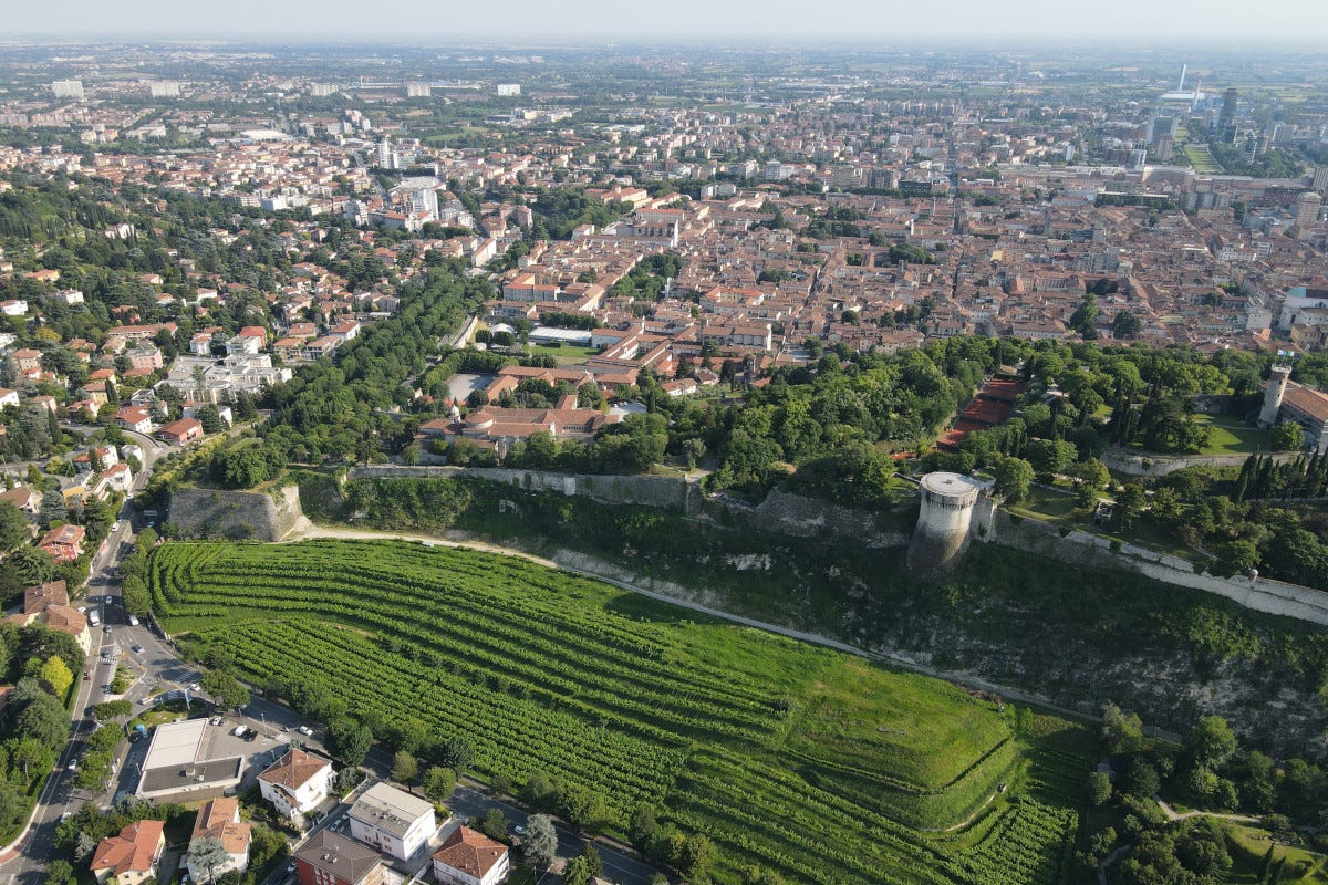 I quasi quattro ettari del Vigneto Pusterla visti dall'alto  Pusterla il vigneto urbano più grande d’Europa è a Brescia