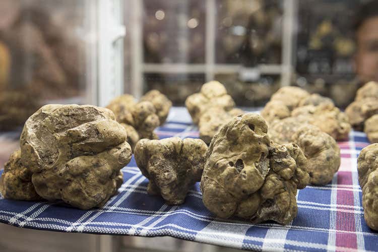 (Le quattro stagioni del tartufo Città di Castello celebra la sua eccellenza)