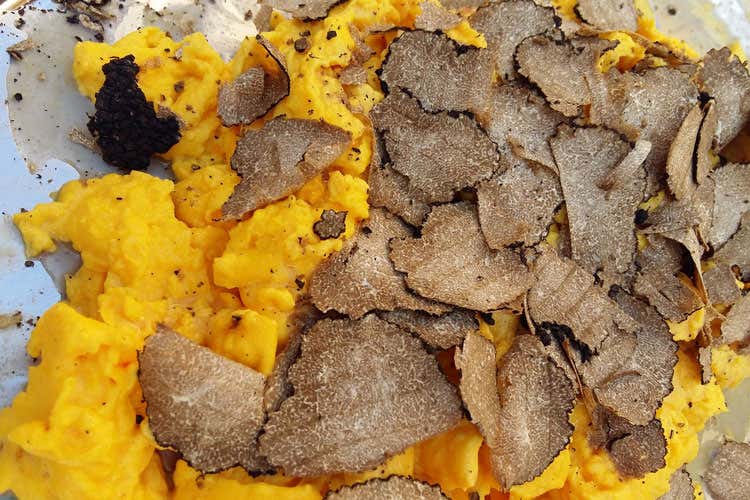 (Le quattro stagioni del tartufo Città di Castello celebra la sua eccellenza)