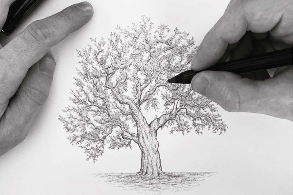 L'Irpinia di Terre di Petrara: «Aglianico e Taurasi, i nostri tesori»