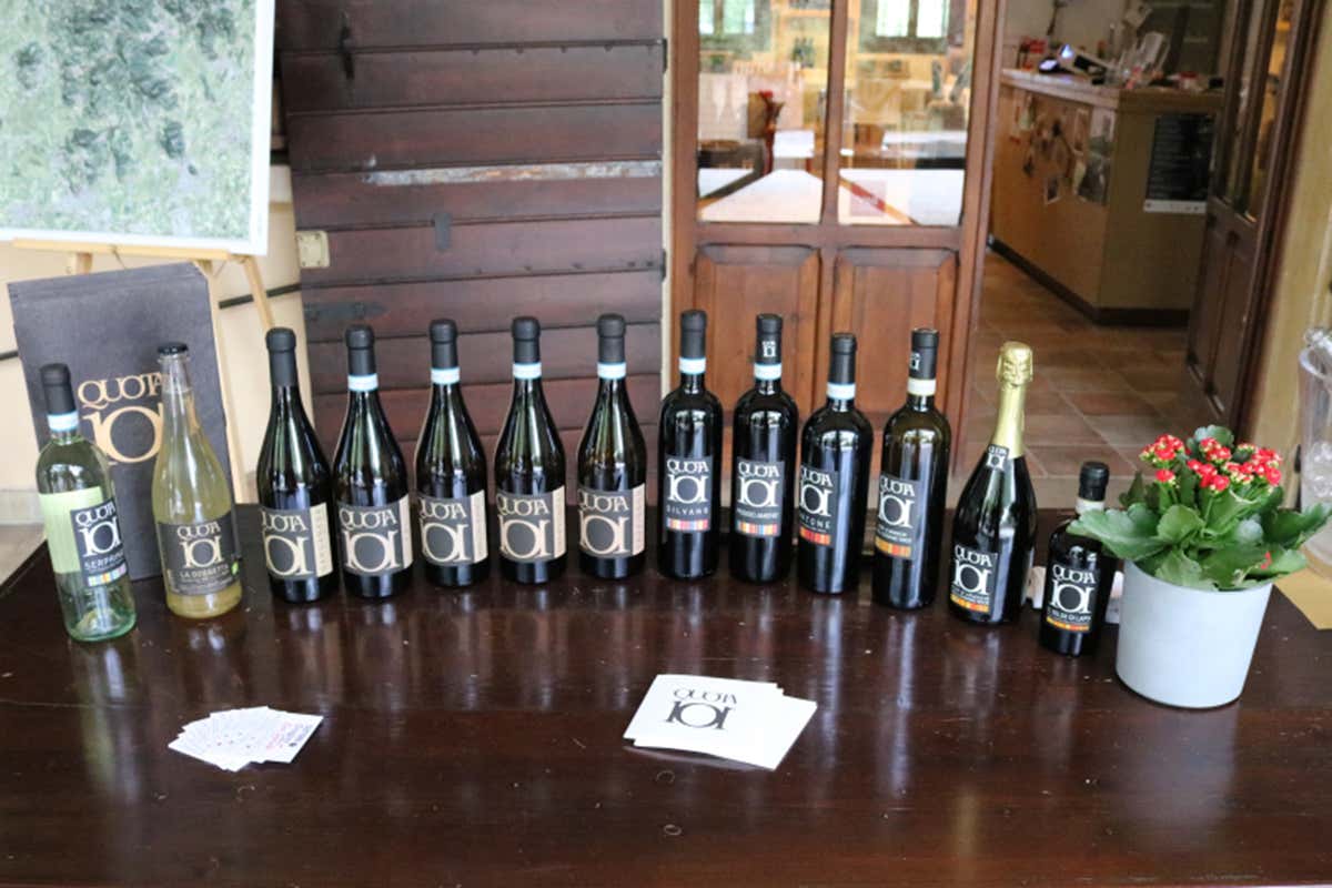 La proposta di Quota 101 Colli Euganei, un&rsquo;estate a spasso tra le vigne all&rsquo;insegna della ripartenza