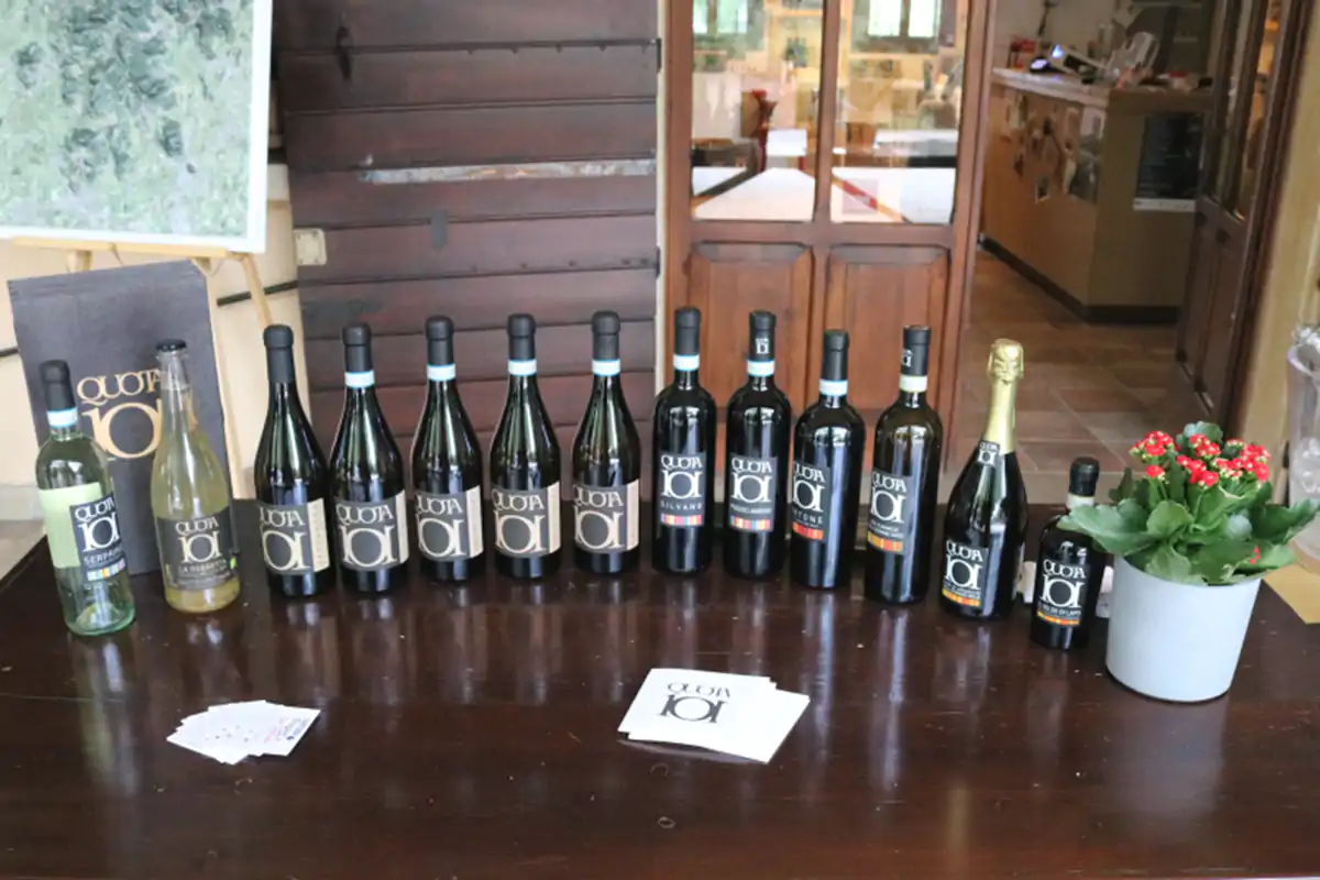La proposta di Quota 101 Colli Euganei, un&rsquo;estate a spasso tra le vigne all&rsquo;insegna della ripartenza