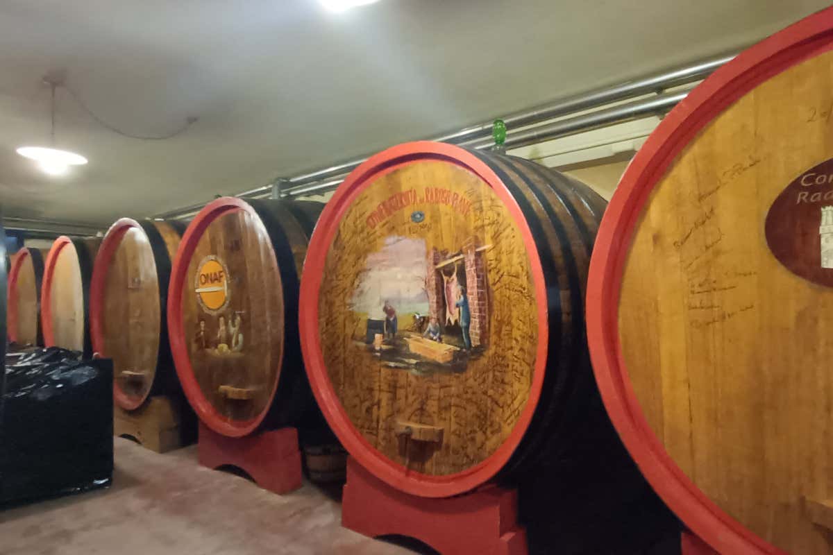 Cantina più moderna per una produzione all'avanguardia Cecchetto: l'anima sostenibile del Raboso del Piave
