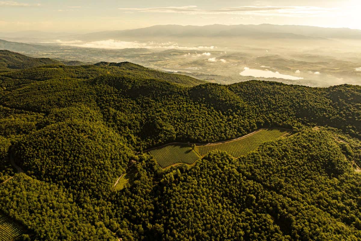 Castello di Albola: bellezza, storia, arte ed ottimi vini nel Chianti Classico
