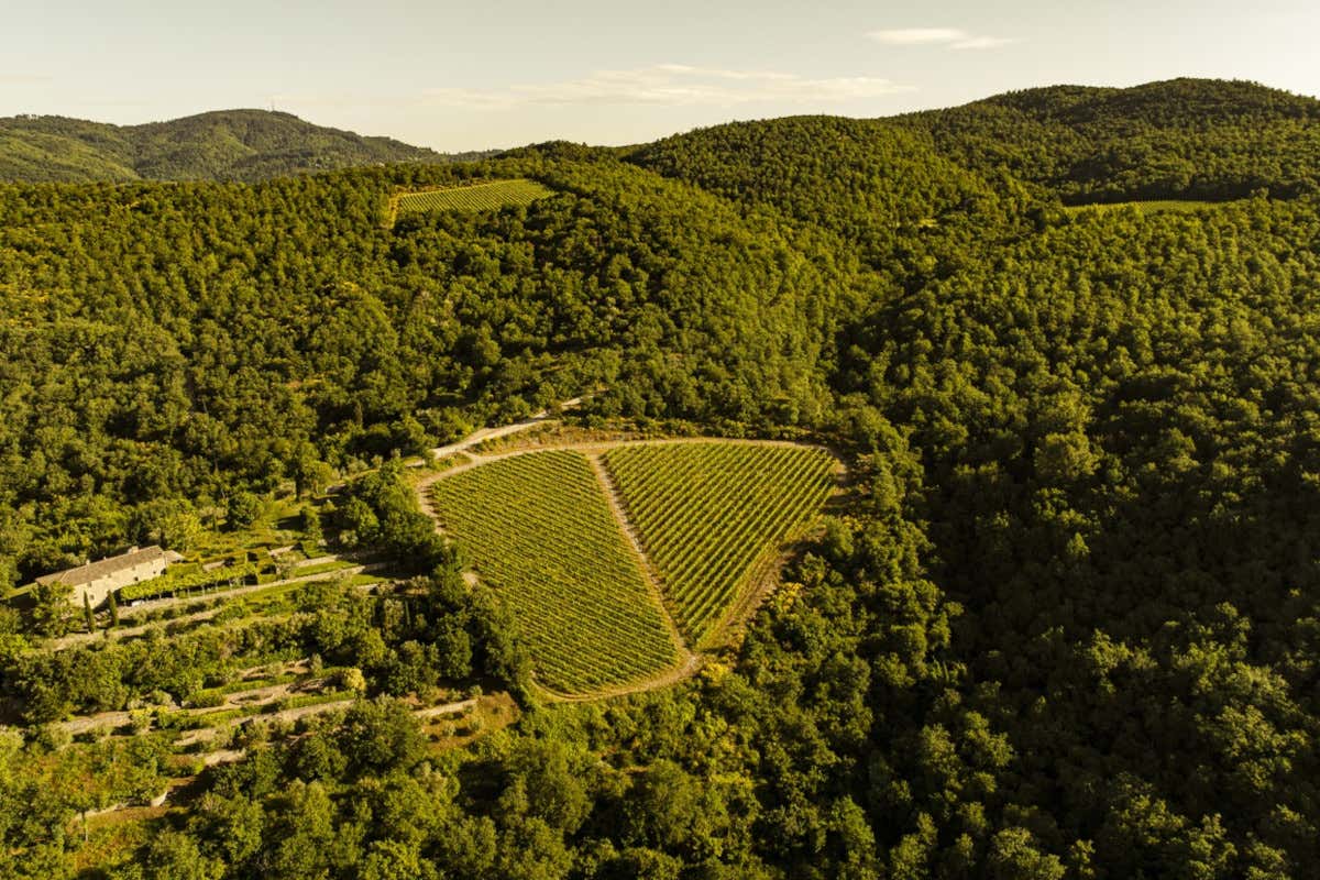 Castello di Albola: bellezza, storia, arte ed ottimi vini nel Chianti Classico