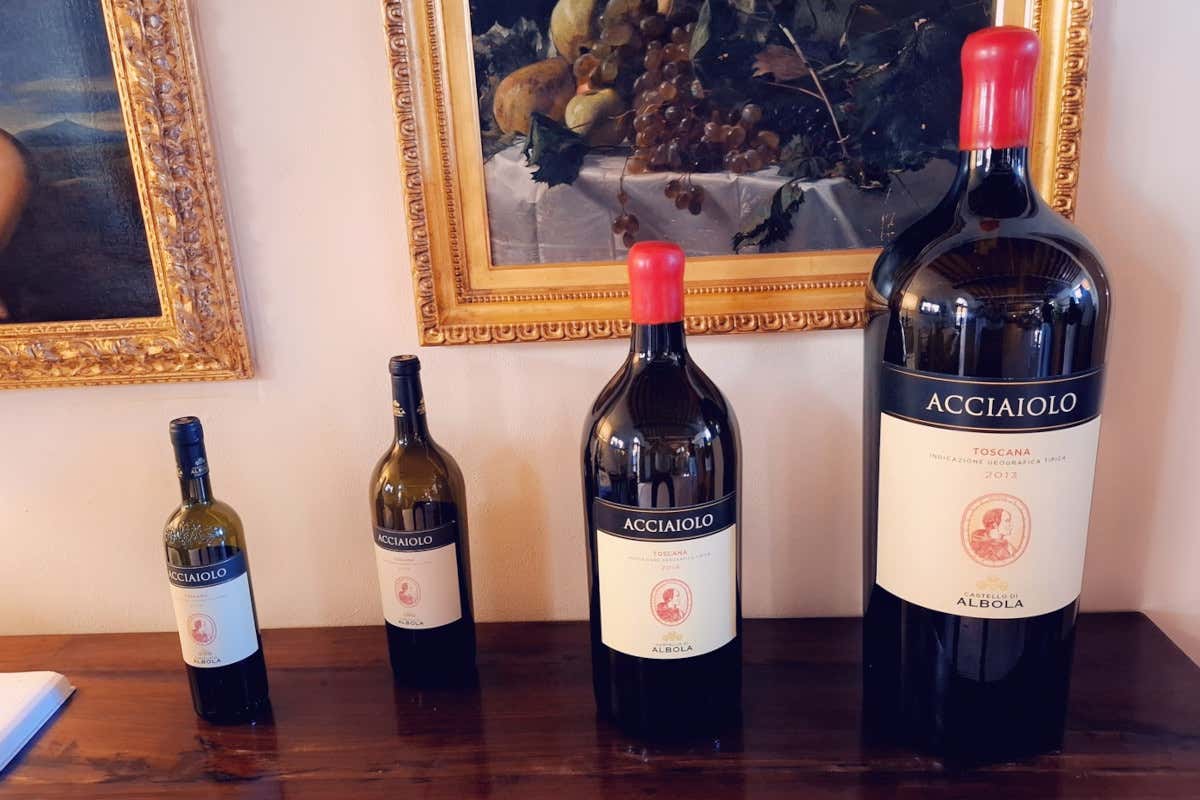 Castello di Albola: bellezza, storia, arte ed ottimi vini nel Chianti Classico