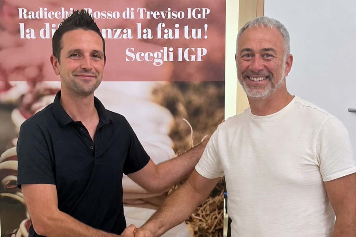 Christian Morandin e Andrea Tosatto Consorzio Radicchio di Treviso IGP