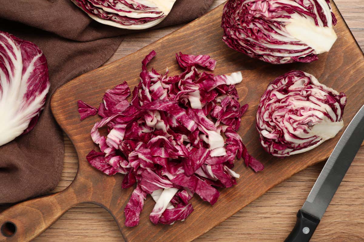 Tutti i benefici del radicchio, ortaggio simbolo dell’autunno italiano Tutti i benefici del radicchio, ortaggio simbolo dell’autunno italiano