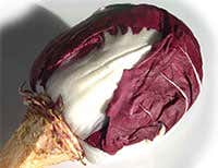 Radicchio di Verona