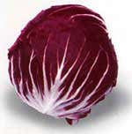 Radicchio di Chioggia