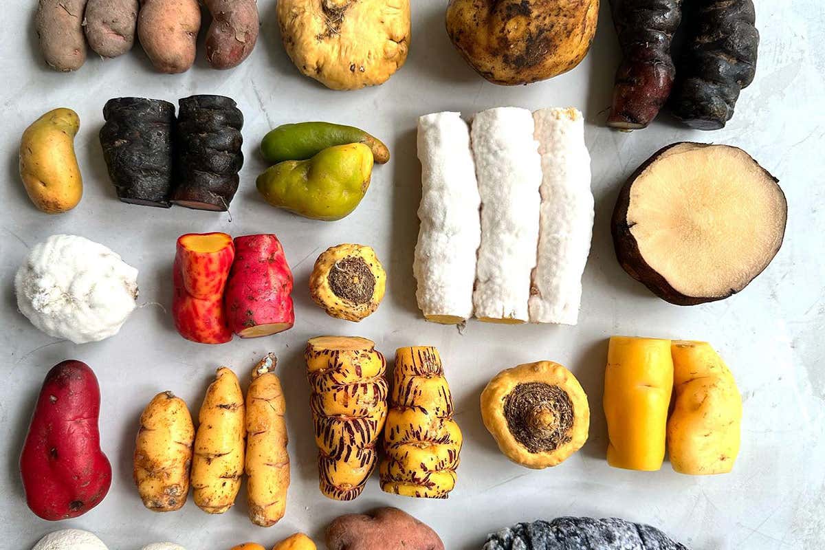 Ecco perché la cucina peruviana scala la vetta dei migliori ristoranti al mondo