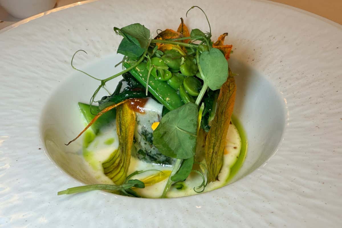 Baccalà in oliocottura con insalata di stagione a base di taccole, fave e fiori di zucca