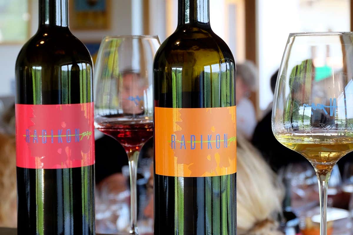 Radikon lancia POP, il vino che attraversa i confini e parla ai popoli