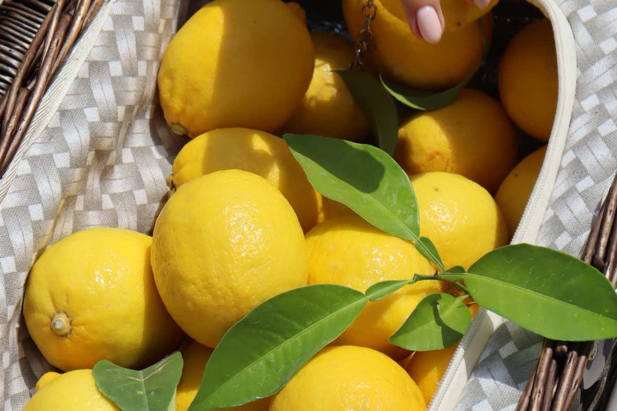 Casa del Mare Mediterraneo: lusso e eleganza nella magica baia di Kotor