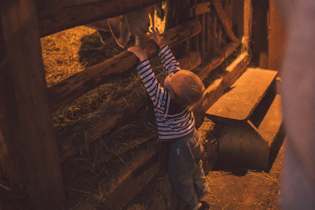 Hotel sostenibili in Austria: scopri lo Stanglwirt per una vacanza di benessere
