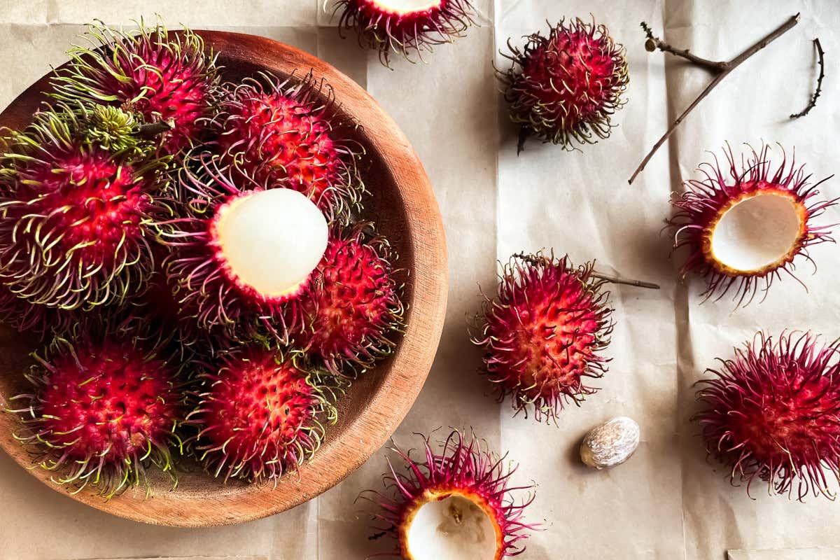 Alla scoperta del frutto tropicale “capelluto” che sorprende per gusto e nutrienti Alla scoperta del frutto tropicale “capelluto” che sorprende per gusto e nutrienti