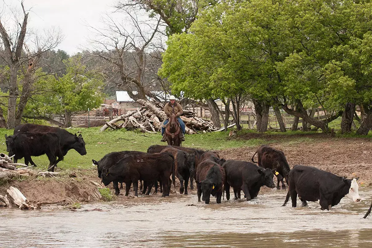 Come un vero mandriano. Foto: Kara Creek Ranchr&nbsp; 