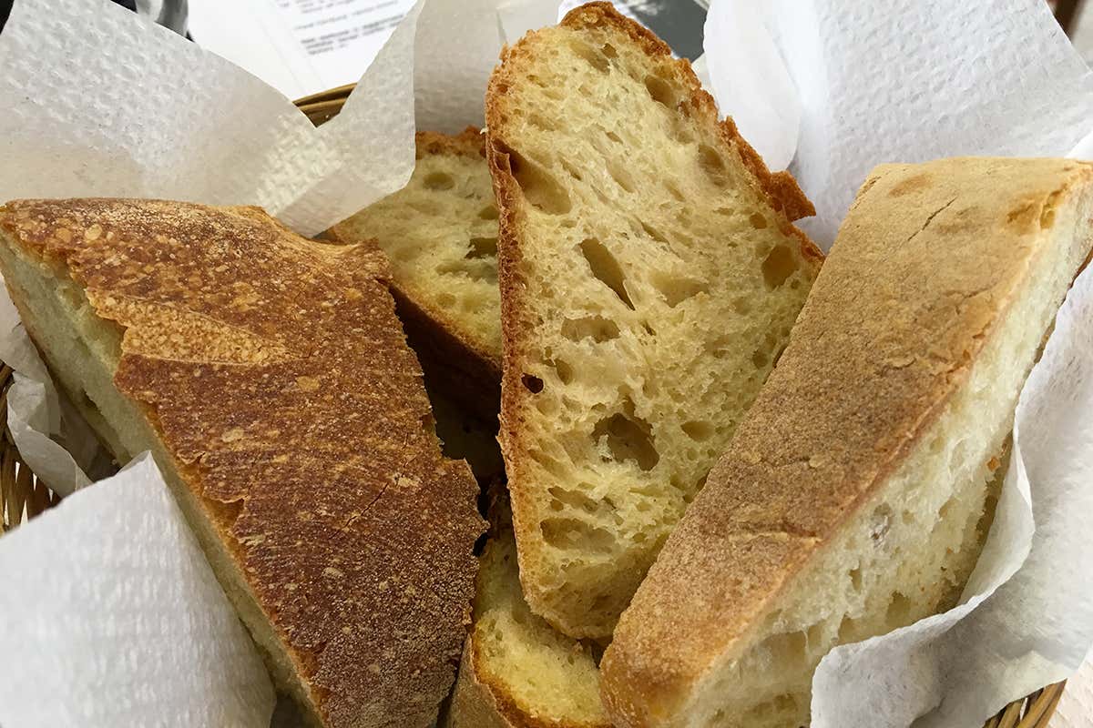 Pane